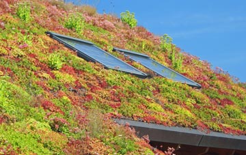 Rainhill Stoops living roof systems
